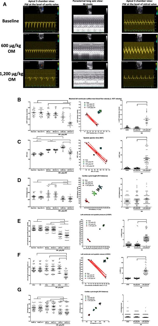 https://cdn.ncbi.nlm.nih.gov/pmc/blobs/cf2e/8041714/c1275489a769/395_2021_866_Fig6_HTML.jpg