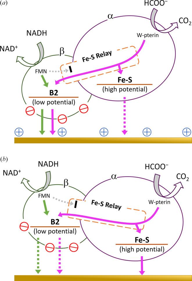 https://cdn.ncbi.nlm.nih.gov/pmc/blobs/cf2f/10478512/6b47af3aa9ab/m-10-00544-fig4.jpg