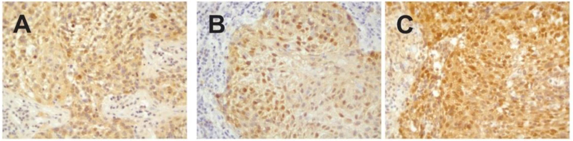 https://cdn.ncbi.nlm.nih.gov/pmc/blobs/cf32/7497862/d8646380345f/nihms-1607947-f0001.jpg
