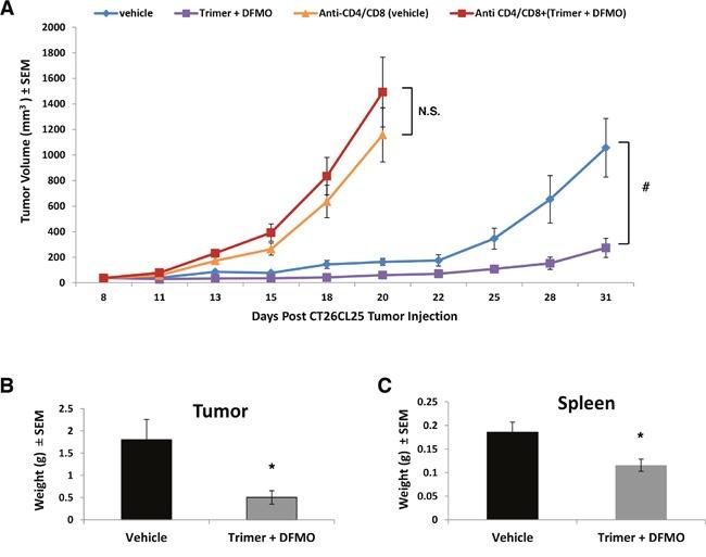https://cdn.ncbi.nlm.nih.gov/pmc/blobs/cf33/5663583/6cb5c6bd9ff0/oncotarget-08-84140-g005.jpg