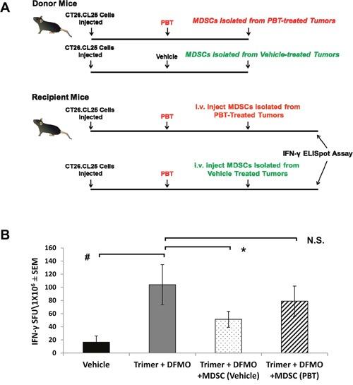 https://cdn.ncbi.nlm.nih.gov/pmc/blobs/cf33/5663583/a81919badcad/oncotarget-08-84140-g008.jpg