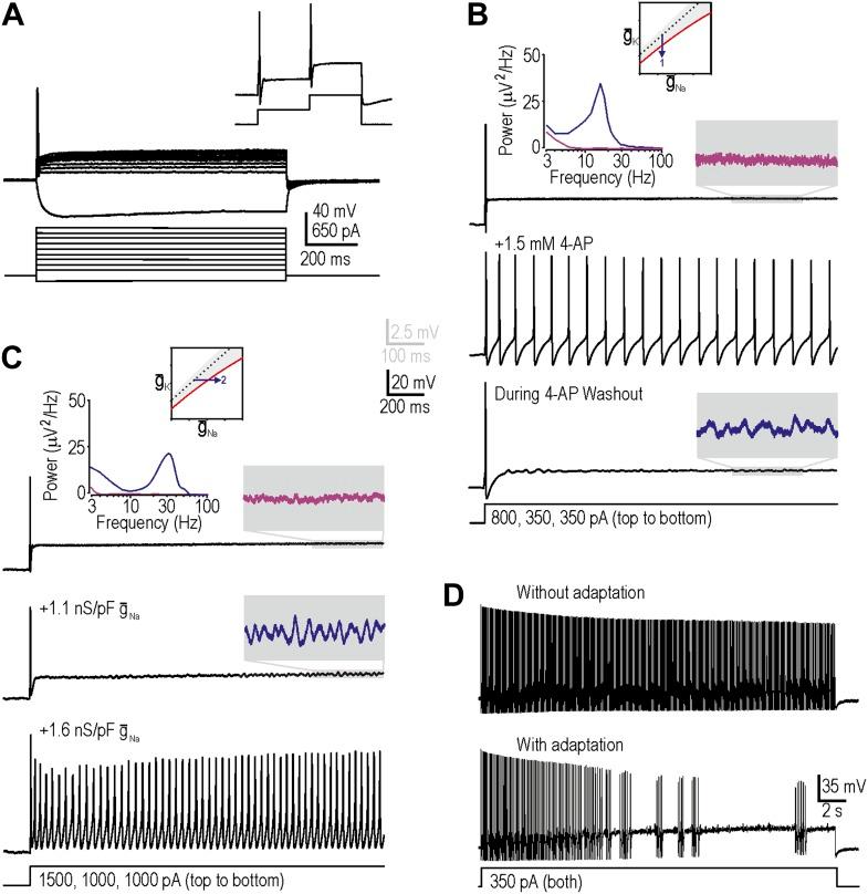 https://cdn.ncbi.nlm.nih.gov/pmc/blobs/cf38/3970756/deccb6db3493/elife02370f002.jpg