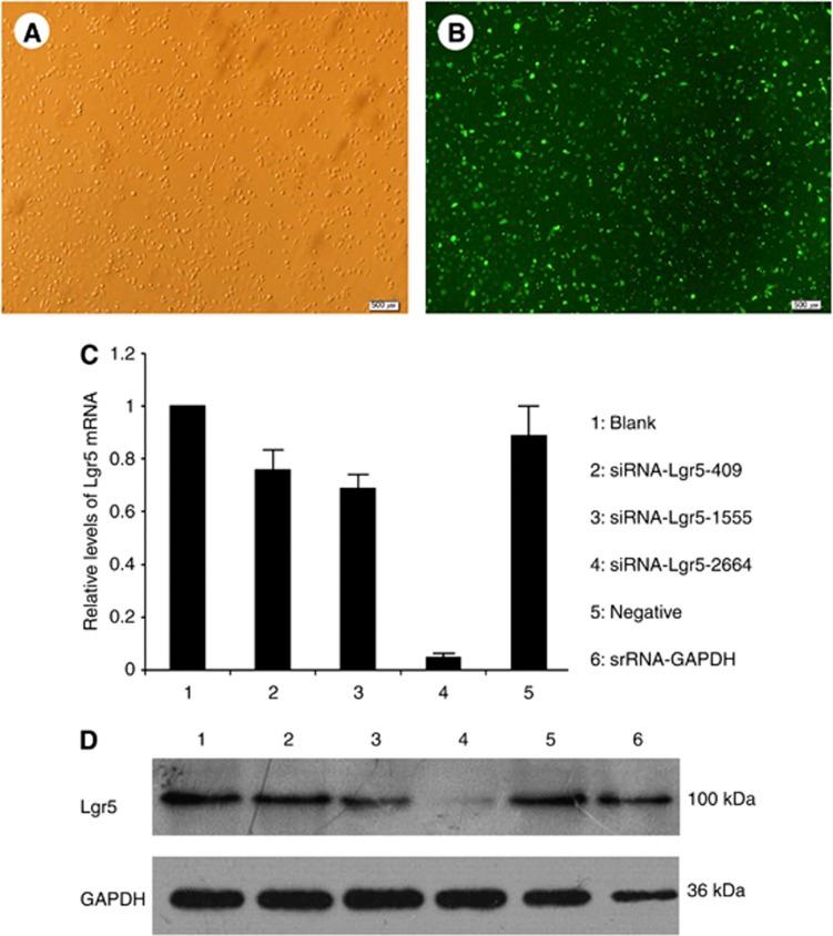 https://cdn.ncbi.nlm.nih.gov/pmc/blobs/cf38/3992491/f9202ccd82b7/bjc2014112f3.jpg