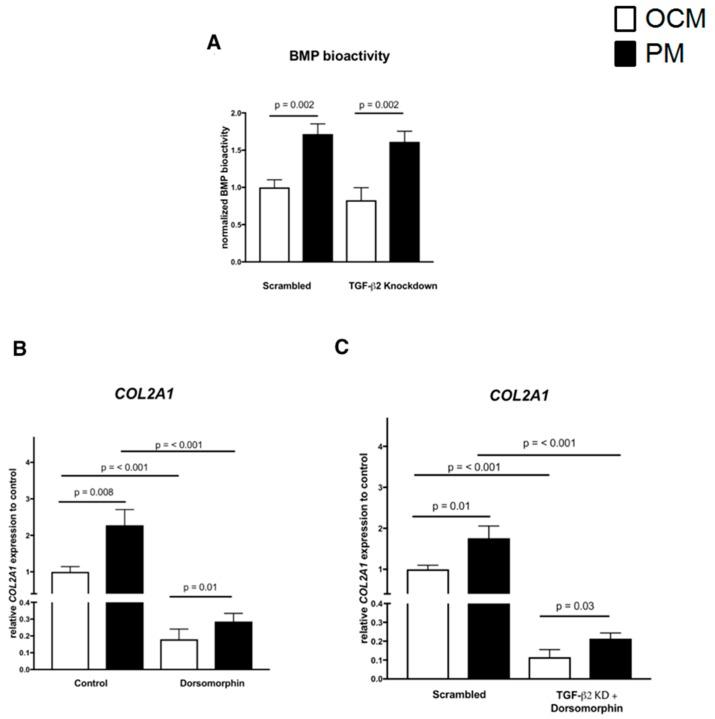 https://cdn.ncbi.nlm.nih.gov/pmc/blobs/cf38/6412363/8e3fd50ed61c/ijms-20-00795-g005.jpg