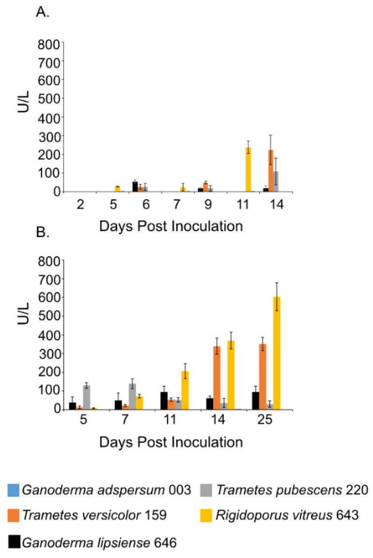 https://cdn.ncbi.nlm.nih.gov/pmc/blobs/cf38/8003285/4d98796a13e6/jof-07-00222-g003.jpg