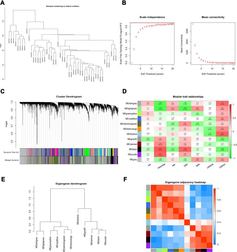 https://cdn.ncbi.nlm.nih.gov/pmc/blobs/cf38/8053709/7ca2feab51b5/PGPM-14-431-g0002.jpg