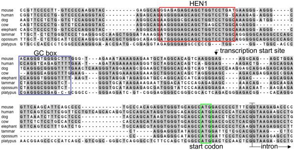 https://cdn.ncbi.nlm.nih.gov/pmc/blobs/cf39/3170594/427823b3e8eb/1471-2199-12-39-3.jpg