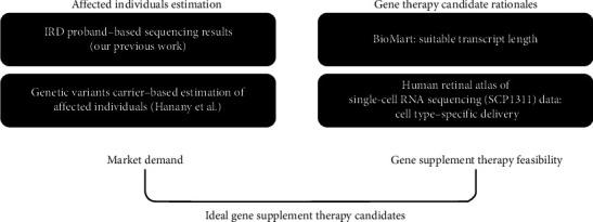 https://cdn.ncbi.nlm.nih.gov/pmc/blobs/cf3d/12178778/58118a653d59/JOPH2025-7014745.001.jpg