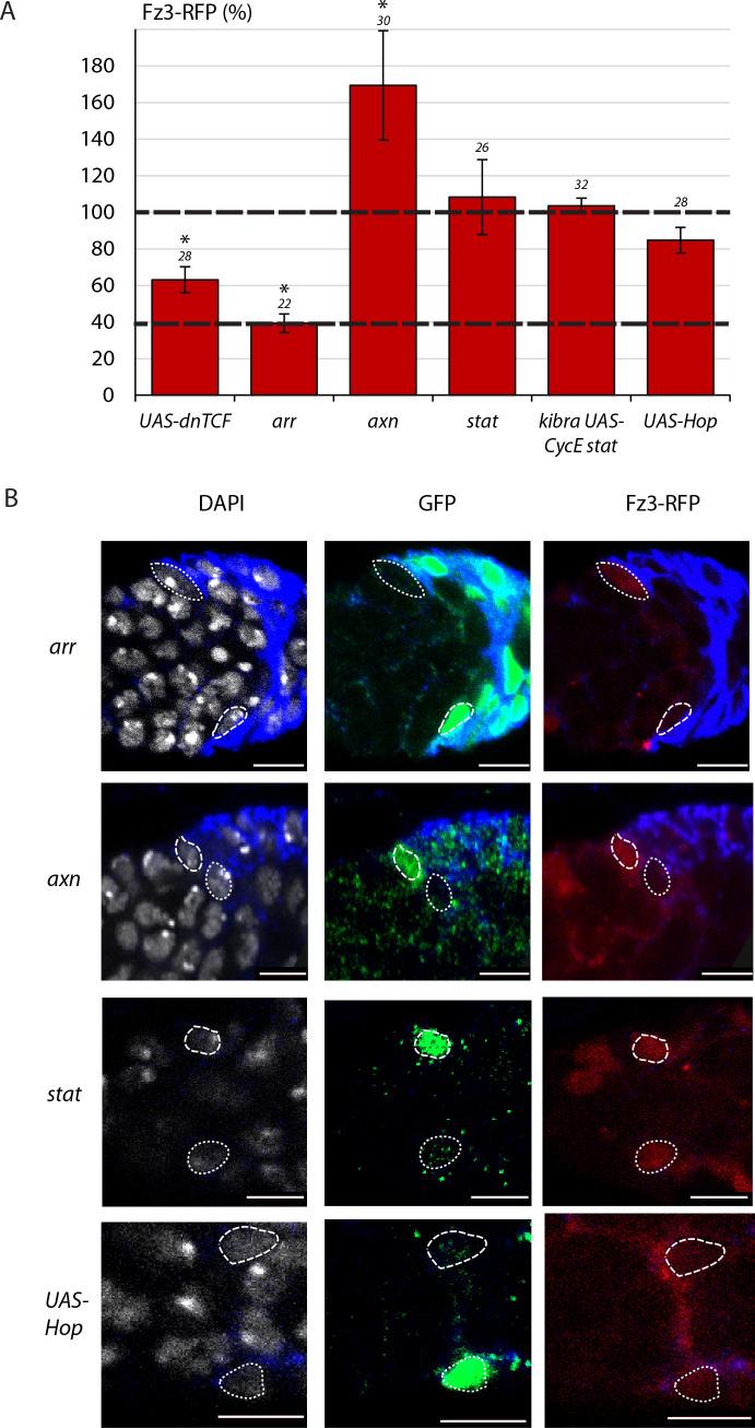 https://cdn.ncbi.nlm.nih.gov/pmc/blobs/cf3e/7695452/16b1132777dc/elife-61204-fig5-figsupp2.jpg