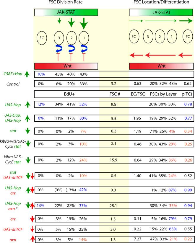 https://cdn.ncbi.nlm.nih.gov/pmc/blobs/cf3e/7695452/60564f4bfbf0/elife-61204-fig7.jpg