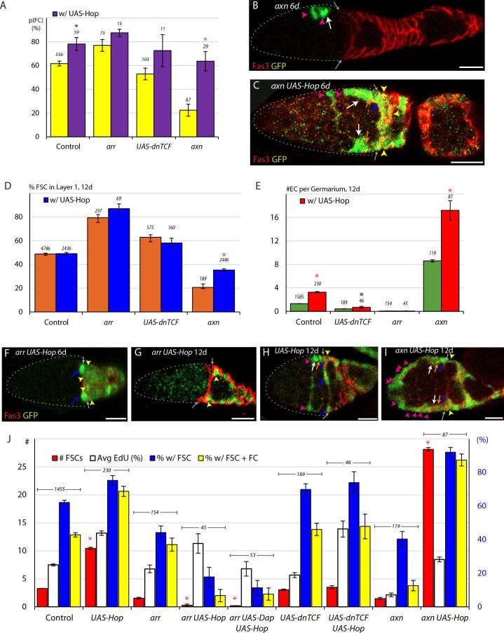 https://cdn.ncbi.nlm.nih.gov/pmc/blobs/cf3e/7695452/bb816332fb48/elife-61204-fig6.jpg
