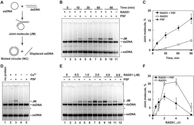 https://cdn.ncbi.nlm.nih.gov/pmc/blobs/cf40/2715225/3ba9f0d07fdd/gkp298f3.jpg