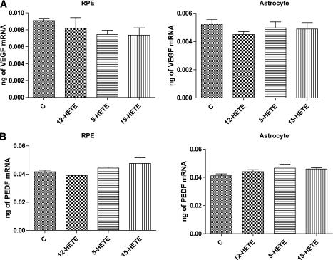 https://cdn.ncbi.nlm.nih.gov/pmc/blobs/cf41/3028363/153c69811f65/614fig8.jpg