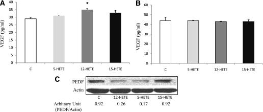 https://cdn.ncbi.nlm.nih.gov/pmc/blobs/cf41/3028363/5e743d3bf269/614fig7.jpg