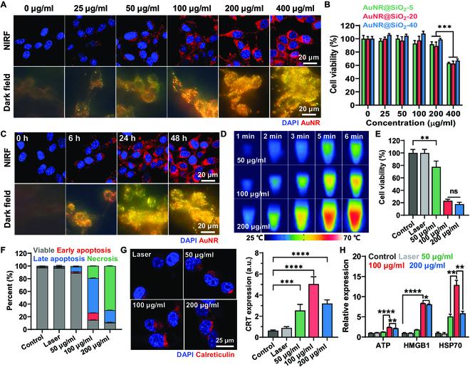 https://cdn.ncbi.nlm.nih.gov/pmc/blobs/cf43/11062504/b3079ff40425/bmr.0024.fig.003.jpg