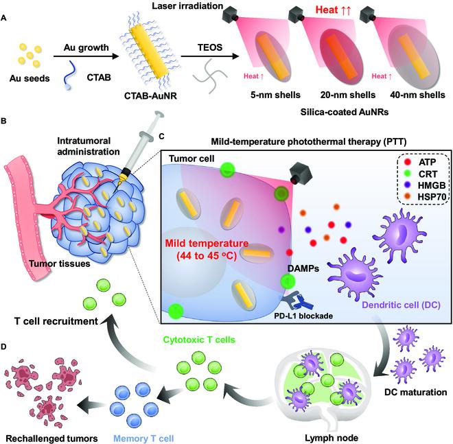 https://cdn.ncbi.nlm.nih.gov/pmc/blobs/cf43/11062504/d2928e648c6d/bmr.0024.fig.001.jpg