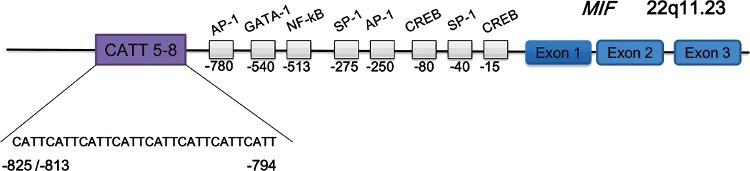 https://cdn.ncbi.nlm.nih.gov/pmc/blobs/cf44/6197097/d727d6009e69/TFSR_A_1327744_F0001_OC.jpg