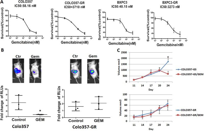 https://cdn.ncbi.nlm.nih.gov/pmc/blobs/cf44/6755976/4b5c7c3a4718/41388_2018_553_Fig1_HTML.jpg