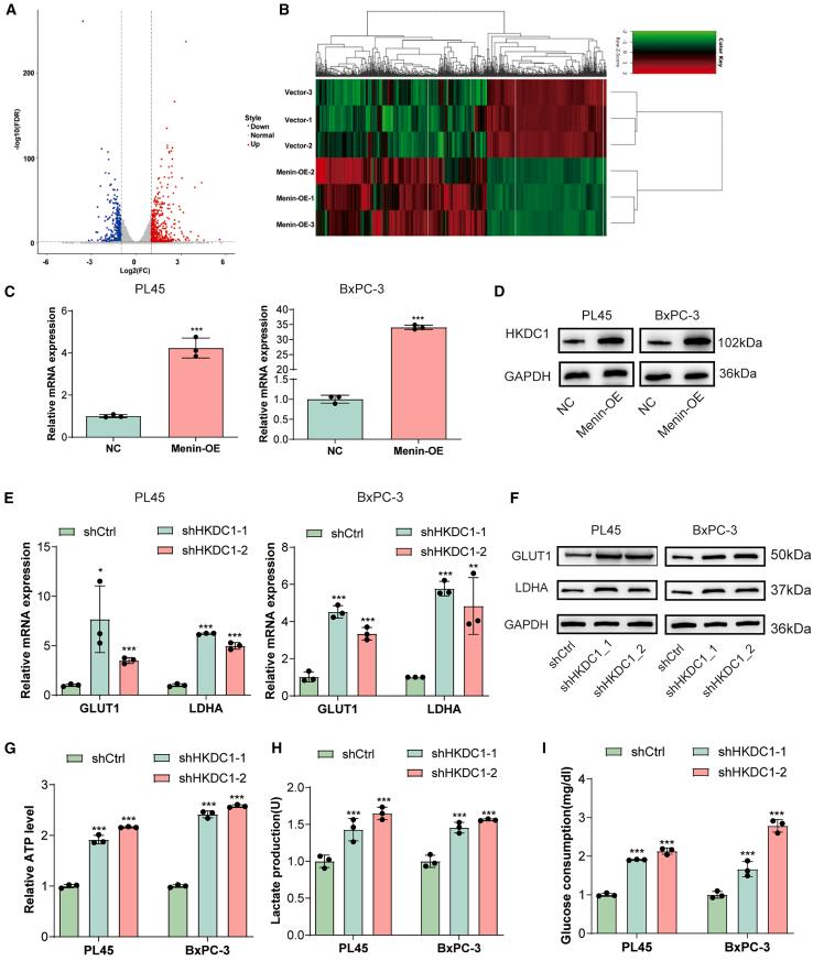 https://cdn.ncbi.nlm.nih.gov/pmc/blobs/cf45/12396302/9ad7cab734c2/gr3.jpg