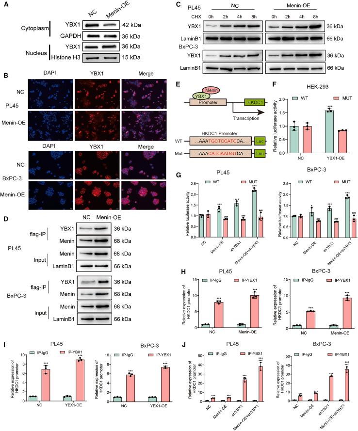 https://cdn.ncbi.nlm.nih.gov/pmc/blobs/cf45/12396302/ab0af9859cf5/gr6.jpg