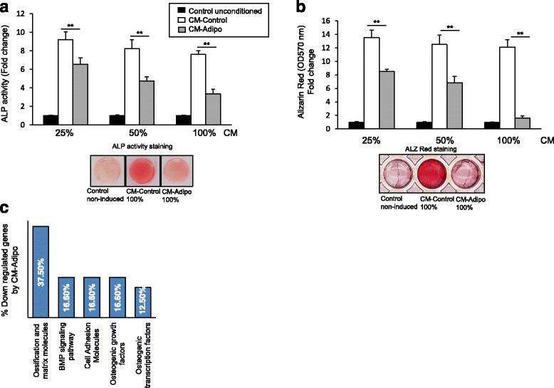 https://cdn.ncbi.nlm.nih.gov/pmc/blobs/cf45/5296965/3726861613e2/12929_2017_321_Fig2_HTML.jpg