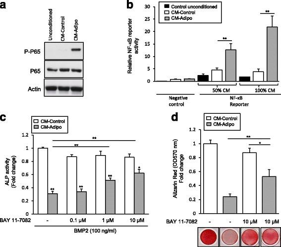 https://cdn.ncbi.nlm.nih.gov/pmc/blobs/cf45/5296965/b33e59486ef6/12929_2017_321_Fig4_HTML.jpg