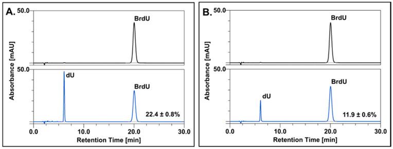https://cdn.ncbi.nlm.nih.gov/pmc/blobs/cf46/8836255/c8008e79431a/ijms-23-01429-g001.jpg