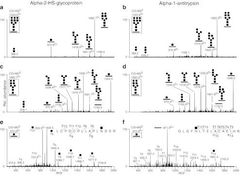 https://cdn.ncbi.nlm.nih.gov/pmc/blobs/cf49/3552370/700c458faf57/10719_2012_9438_Fig4_HTML.jpg