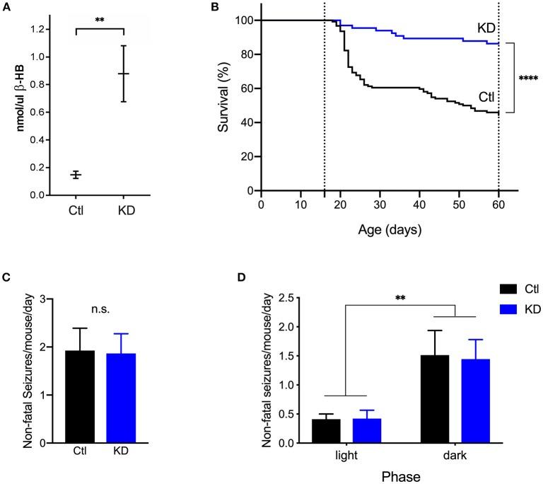 https://cdn.ncbi.nlm.nih.gov/pmc/blobs/cf49/6449461/dcfe1e46ea2c/fneur-10-00278-g0004.jpg