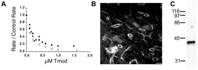 https://cdn.ncbi.nlm.nih.gov/pmc/blobs/cf4a/2172920/eaabef21d298/200209057f1.jpg
