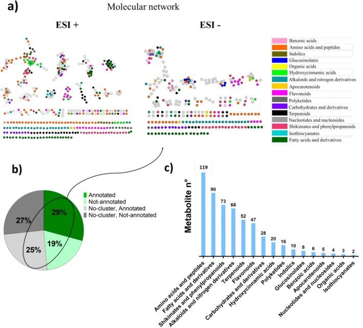 https://cdn.ncbi.nlm.nih.gov/pmc/blobs/cf4b/12147067/25aa599cca3c/PPL-177-e70312-g003.jpg