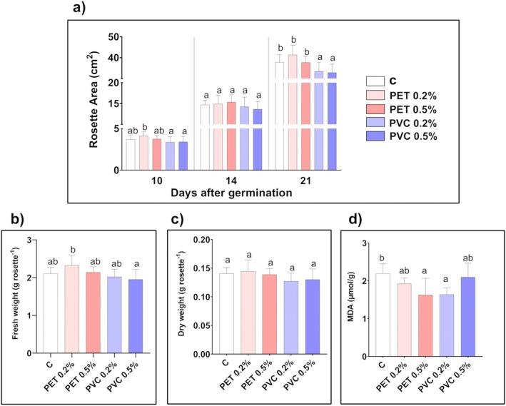 https://cdn.ncbi.nlm.nih.gov/pmc/blobs/cf4b/12147067/76558318c692/PPL-177-e70312-g004.jpg