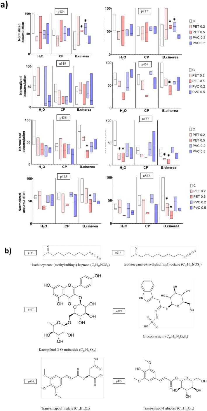 https://cdn.ncbi.nlm.nih.gov/pmc/blobs/cf4b/12147067/790f95136229/PPL-177-e70312-g008.jpg