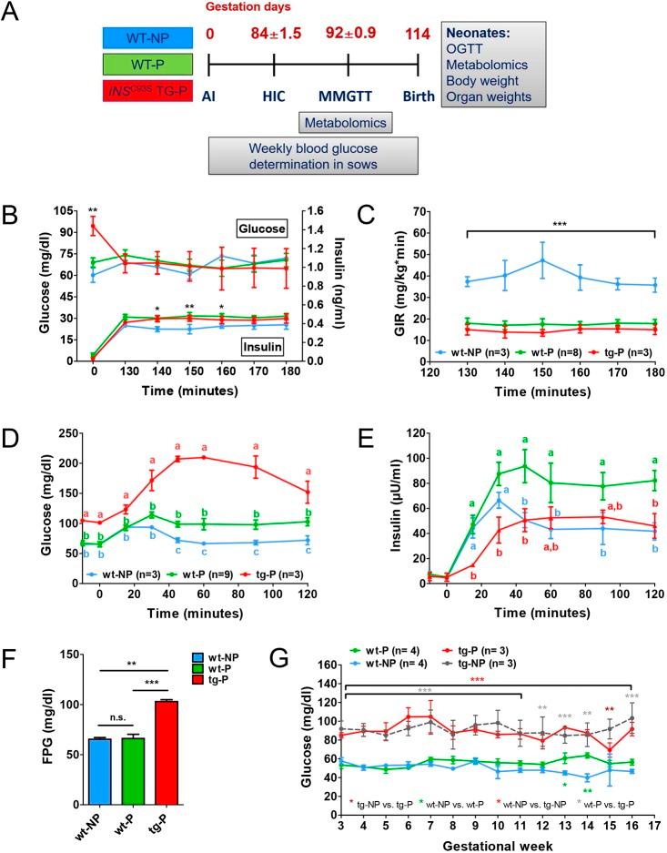 https://cdn.ncbi.nlm.nih.gov/pmc/blobs/cf4b/6737953/4826b6a31253/dmm-12-039156-g3.jpg