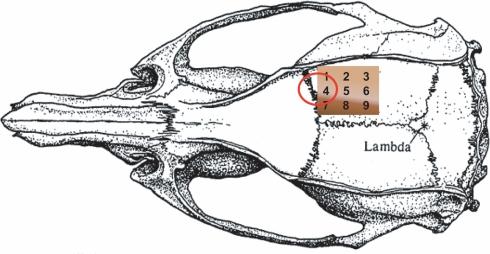 https://cdn.ncbi.nlm.nih.gov/pmc/blobs/cf4e/2922941/f72a01885660/fnene-02-00019-g001.jpg