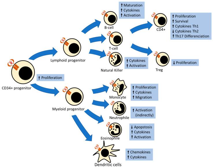 https://cdn.ncbi.nlm.nih.gov/pmc/blobs/cf4e/7957536/33a50f3d69cd/ijms-22-02411-g002.jpg