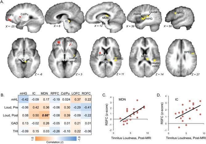 https://cdn.ncbi.nlm.nih.gov/pmc/blobs/cf4f/6867316/c3a2f4d9dd3a/HBM-37-2717-g003.jpg