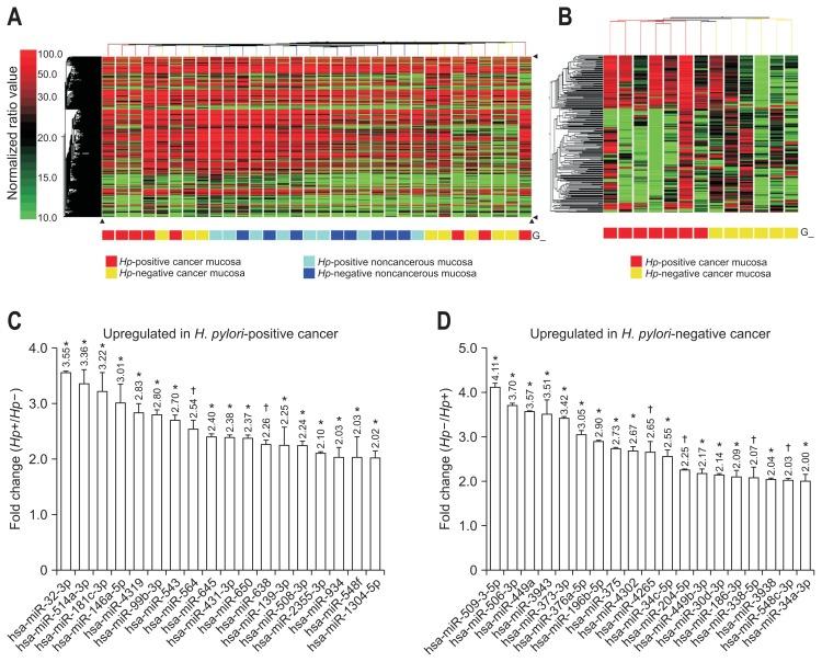 https://cdn.ncbi.nlm.nih.gov/pmc/blobs/cf50/4351025/6a625d8da994/gnl-09-188f1.jpg