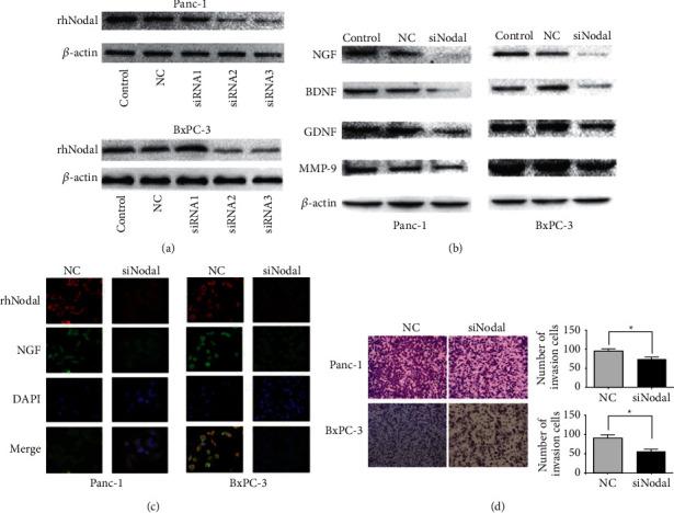 https://cdn.ncbi.nlm.nih.gov/pmc/blobs/cf52/8813265/129a2a2ac008/JHE2022-9658890.003.jpg