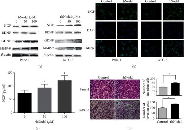 https://cdn.ncbi.nlm.nih.gov/pmc/blobs/cf52/8813265/28895c3f5963/JHE2022-9658890.002.jpg