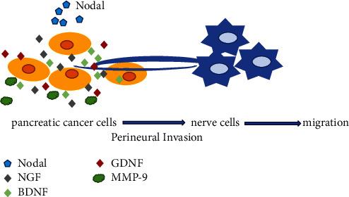 https://cdn.ncbi.nlm.nih.gov/pmc/blobs/cf52/8813265/b0c0bf3ecd2a/JHE2022-9658890.005.jpg