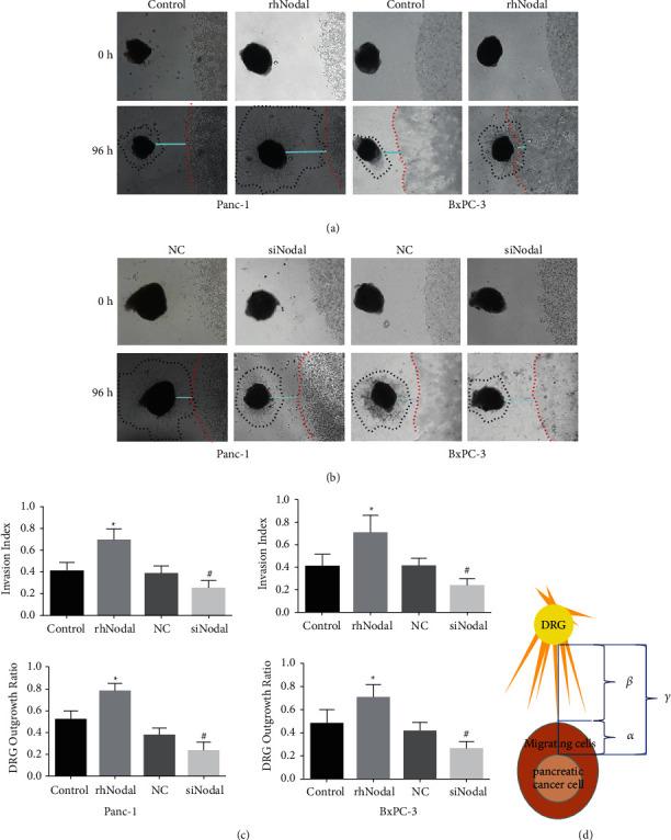 https://cdn.ncbi.nlm.nih.gov/pmc/blobs/cf52/8813265/c086c4dcde2e/JHE2022-9658890.001.jpg