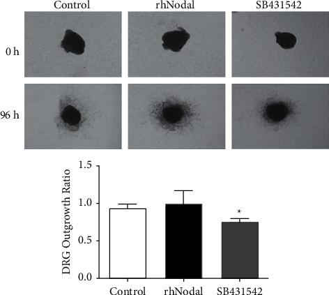 https://cdn.ncbi.nlm.nih.gov/pmc/blobs/cf52/8813265/fb6d4c8d2f29/JHE2022-9658890.004.jpg