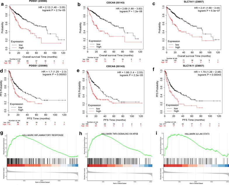https://cdn.ncbi.nlm.nih.gov/pmc/blobs/cf53/7487492/88f7c89abbbd/12967_2020_2492_Fig11_HTML.jpg