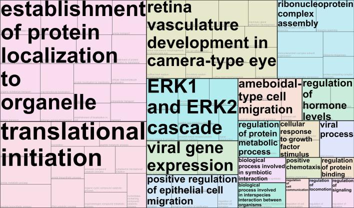 https://cdn.ncbi.nlm.nih.gov/pmc/blobs/cf59/10061869/70ea3f0a58f1/10020_2023_629_Fig5_HTML.jpg