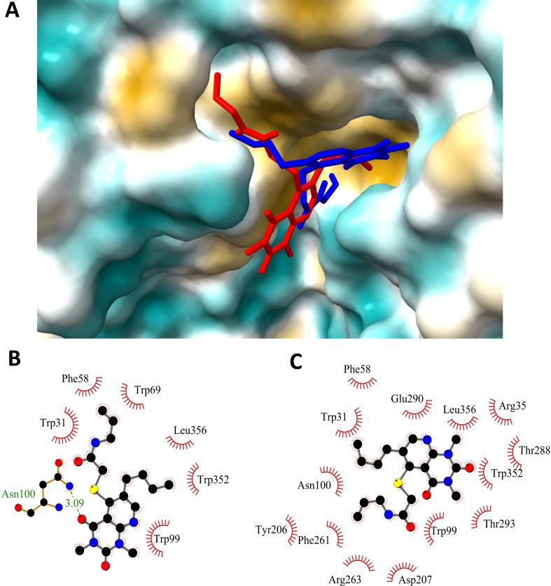 https://cdn.ncbi.nlm.nih.gov/pmc/blobs/cf59/11743419/3207309e3dda/43440_2024_677_Fig1_HTML.jpg