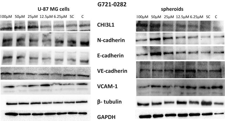 https://cdn.ncbi.nlm.nih.gov/pmc/blobs/cf59/11743419/74eaaf2fecb9/43440_2024_677_Fig7_HTML.jpg