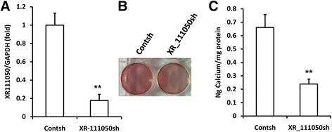 https://cdn.ncbi.nlm.nih.gov/pmc/blobs/cf59/5297123/571575dfe755/13287_2017_485_Fig5_HTML.jpg