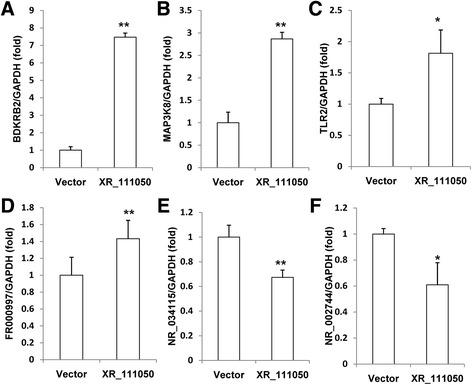 https://cdn.ncbi.nlm.nih.gov/pmc/blobs/cf59/5297123/5c7d7591170e/13287_2017_485_Fig6_HTML.jpg