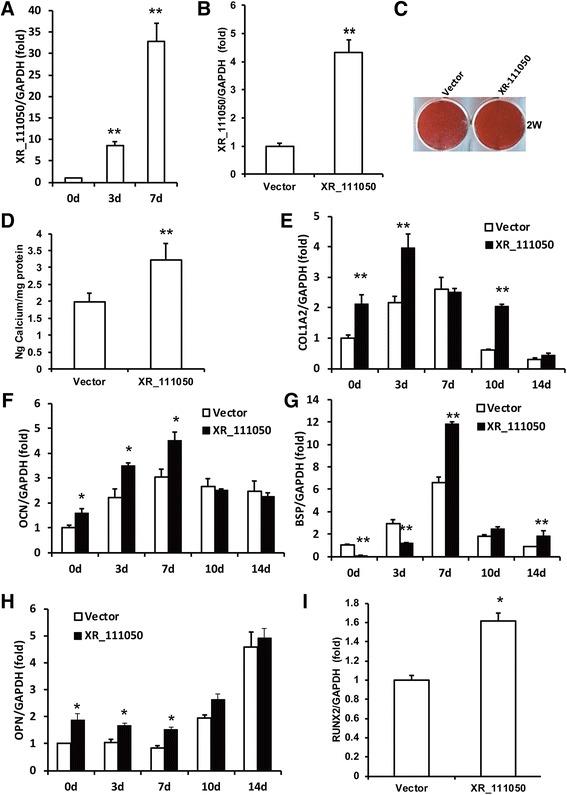 https://cdn.ncbi.nlm.nih.gov/pmc/blobs/cf59/5297123/b94862ca8aa7/13287_2017_485_Fig4_HTML.jpg